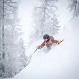 powder skiing in the trees