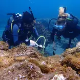 Interns taking data
