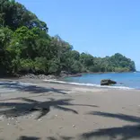 Beach, low tide