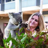 Koala at the Welcome to Australia Event