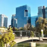 Buildings with trees sorrounding them.