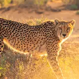 Volunteer in Zambia