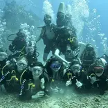 Explore the world underwater with new friends