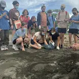 Students on beach clearing room for turtles