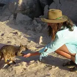 Gap Year Aus - Quokka Perth