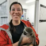 Veterinary visits with rescued injured monkeys