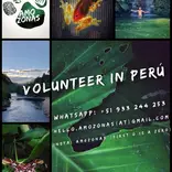 info flyer 