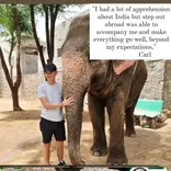 Animal care Internship in India 
