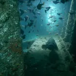 Wreck dive, Steam ship Rita, Goa