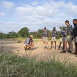Become a Field Guide 