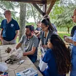 Exotic animals vet teaching fellows how to examine a turtle