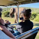 Filming Elephants