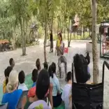 Disabled Children