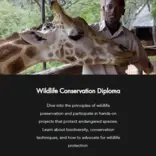 wildlife conservation diploma
