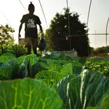 Sustainable farming