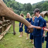 Volunteer in Elephant Conservation