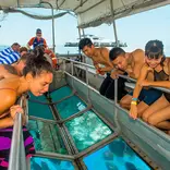 Great Barrier Reef Conservation