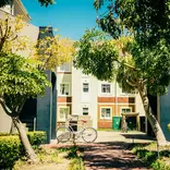 Stellenbosch University