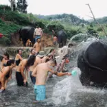 Thailand Interns