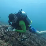 Research Buddy in Action