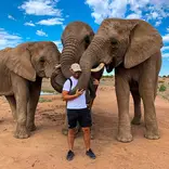 Big 5 - elephants