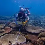 Conducting MPA assessments
