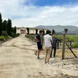 Wine Theory Candidates at a Vineyard in Chile