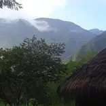 Mountain fog in the mornings
