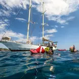 Transect team in the water ©MarcBielefeld