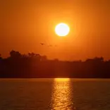 African Sunset