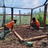 2 staff members planting seedlings in a plant nursery