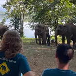 Students observe elephants
