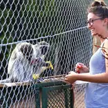 Volunteer feeding our monkeys 