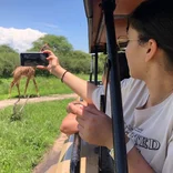 Our client captured Giraffe 