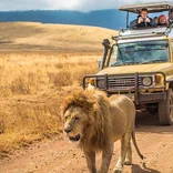 Ngorongorongoro Crater 
