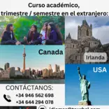 Cursos académico 