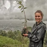 Tree planting.