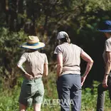 Volunteers out and about