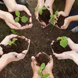environmental Volunteer jobs