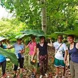 Volunteers learning about local farming practices on a community farm visit 