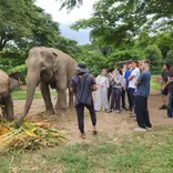 GLA in Thailand