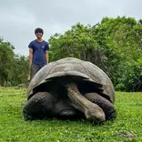 Experimenter poses with Giant Galapagos tortoise