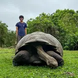 Experimenter poses with Giant Galapagos tortoise