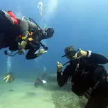 Diving