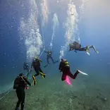 Diving