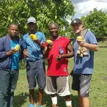 Reforestation and environmental protection 