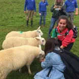Ireland Wildlife