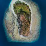 Flip Flop Island
