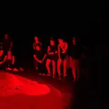 gente viendo una tortuga marina