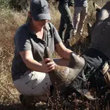 Volunteer with Rhino